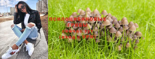 гашик Абинск